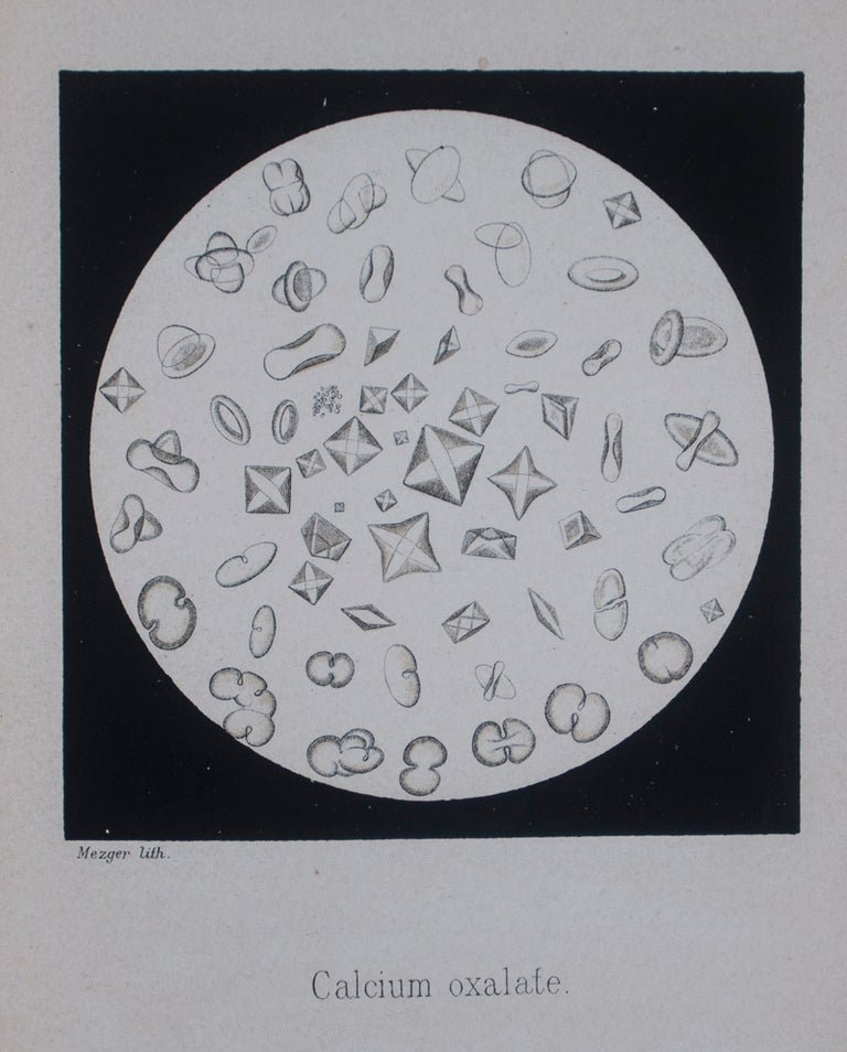 Item #44559 An Atlas of Clinical Microscopy. Alexander Peyer.