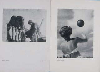 III Okręgowa Wystawa Fotografiki. XI-XII 1956