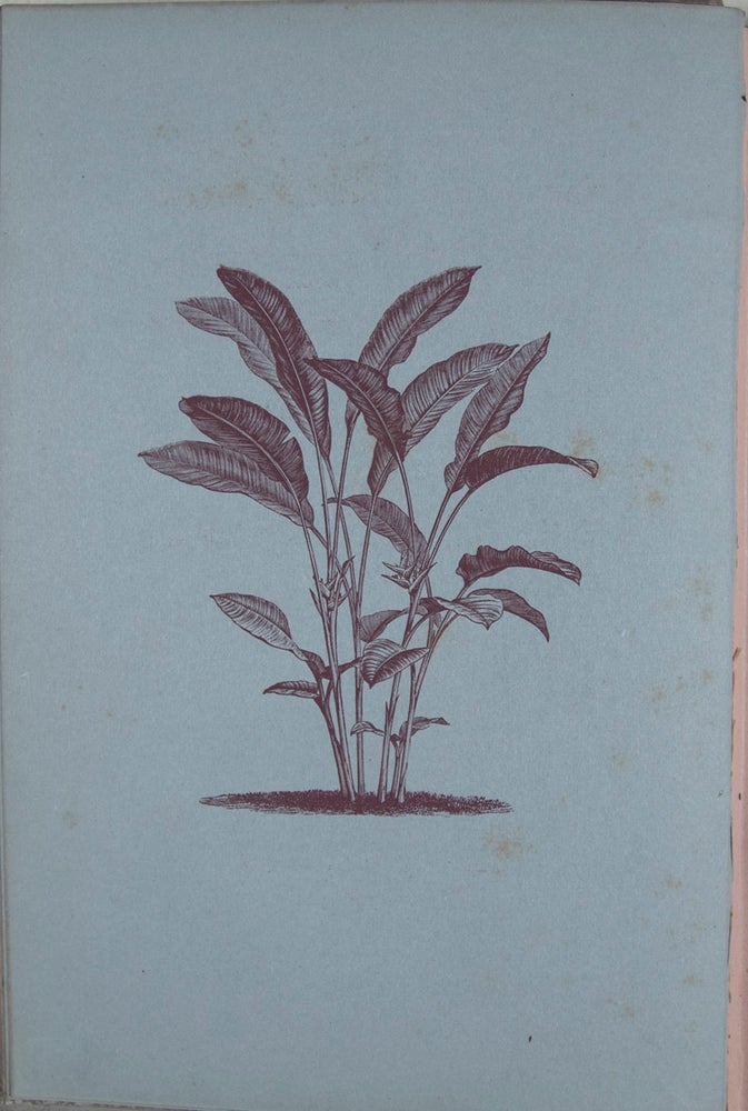Item #44702 Decorative Painting: A practical Handbook on Painting and Etching Upon Various Objects and Materials for the Decoration of our Homes. B. C. Saward.