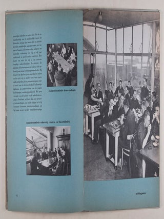 50 Jaar Bruynzeel 1897-1947 (50 Years of Bruynzeel 1897-1947)