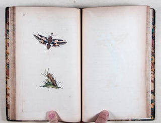 The Natural History of British Insects; explaining them in their several states, with the periods of their transformations, their food, oeconomy, &c. together with the history of such minute insects as require investigation by the microscope [WITH 251 (of 252) HAND-COLORED PLATES] Vols. 1-7.