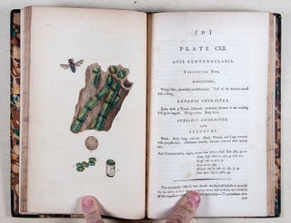 The Natural History of British Insects; explaining them in their several states, with the periods of their transformations, their food, oeconomy, &c. together with the history of such minute insects as require investigation by the microscope [WITH 251 (of 252) HAND-COLORED PLATES] Vols. 1-7.
