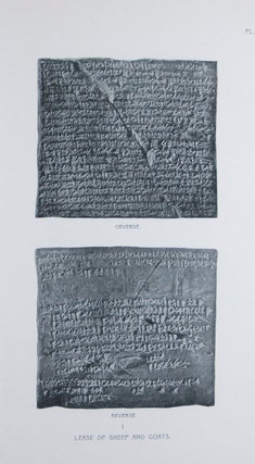 Item #45837 Business Documents of Murashû Sons of Nippur Dated in the Reign of Darius II....