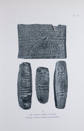 Business Documents of Murashû Sons of Nippur Dated in the Reign of Darius II. (424-404 BC) [The Babylonian Expedition of The University of Pennsylvania - Series A: Cuneiform Texts. Volume X]
