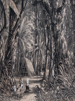 The Isthmus of Tehuantepec: Being the Results of a Survey for a Railroad to Connect the Atlantic and Pacific Oceans