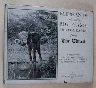 Elephants and Other Big Game Studies from The Times