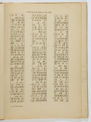 Keilschrifttexte der Gesetze Autographie der Stele sowie der Altbabylonischen, Assyrischen und Neubabylonischen Fragmente. ( Cuneiform Texts of the Code of Hammurabi, Autography of the Stele as well as the Old Babylonian, Assyrian and New Babylonian Fragments)