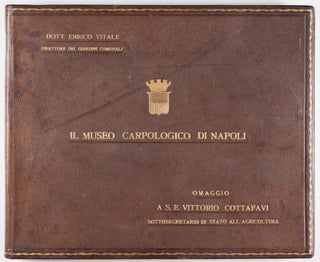 Il Museo Carpologico Di Napoli (Carpology / Botanical Museum of Naples)