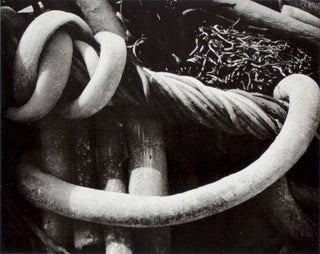 Item #47318 My Camera on Point Lobos. Edward Weston
