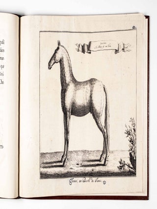 Anti-Maquignonage Pour Eviter La Surprise Dans L'Emplette Des Chevaux; Ou L'On Traite De Leur Perfection Et De Leurs Defauts (To Avoid Surprises When Buying Horses. Their Perfection And Defects)