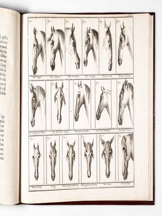 Anti-Maquignonage Pour Eviter La Surprise Dans L'Emplette Des Chevaux; Ou L'On Traite De Leur Perfection Et De Leurs Defauts (To Avoid Surprises When Buying Horses. Their Perfection And Defects)