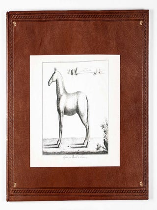 Anti-Maquignonage Pour Eviter La Surprise Dans L'Emplette Des Chevaux; Ou L'On Traite De Leur Perfection Et De Leurs Defauts (To Avoid Surprises When Buying Horses. Their Perfection And Defects)