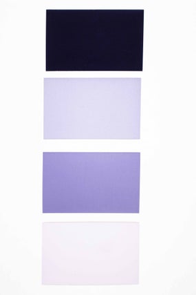 Item #47860 Baumanns Neue Farbtonkarte System Prase D.R.G.M. Block Ia (Four Boxes With 1325 Color...