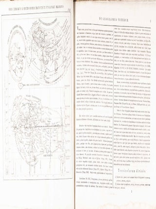 Atlas Orbis Antiqui Constans Decem et Quatuor Tabulis Geographicis, Additis Observationibus et Tabulis Historicis (Fourteen Geographical Tablets with Observations and Historical Documents)