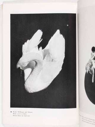 L. Moholy-Nagy. 60 Fotos / 60 Photos