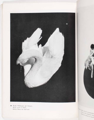 L. Moholy-Nagy. 60 Photos