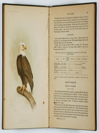 The Hawks and Owls of the United States in Their Relation to Agriculture