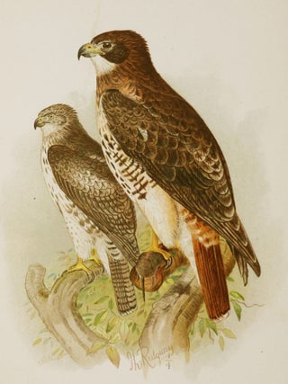 The Hawks and Owls of the United States in Their Relation to Agriculture