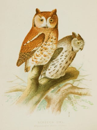 The Hawks and Owls of the United States in Their Relation to Agriculture