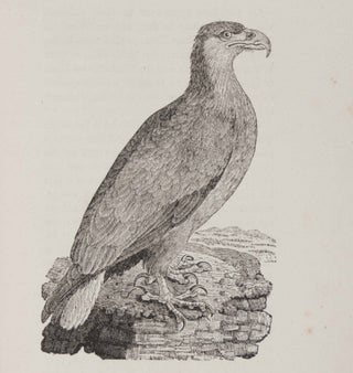 Item #48551 History of British Birds (Land & Water Birds) (2 vols.). Thomas Bewick