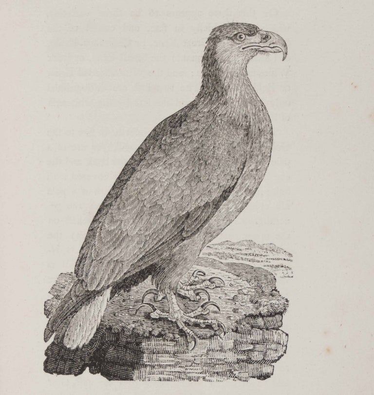 Item #48551 History of British Birds (Land & Water Birds) (2 vols.). Thomas Bewick.