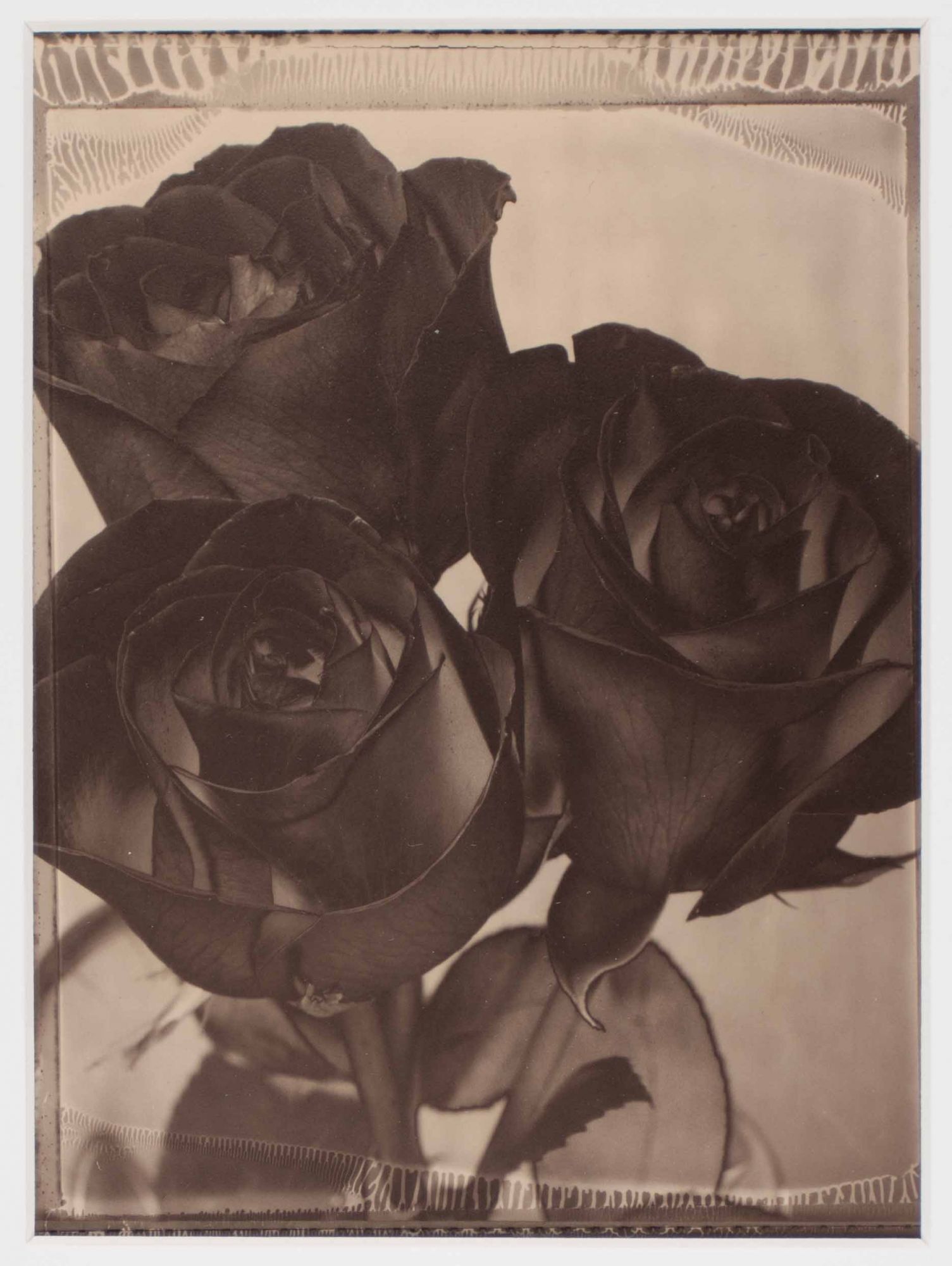 Tom Baril SIGNED WITH ORIGINAL SIGNED PHOTOGRAPH | Tom Baril
