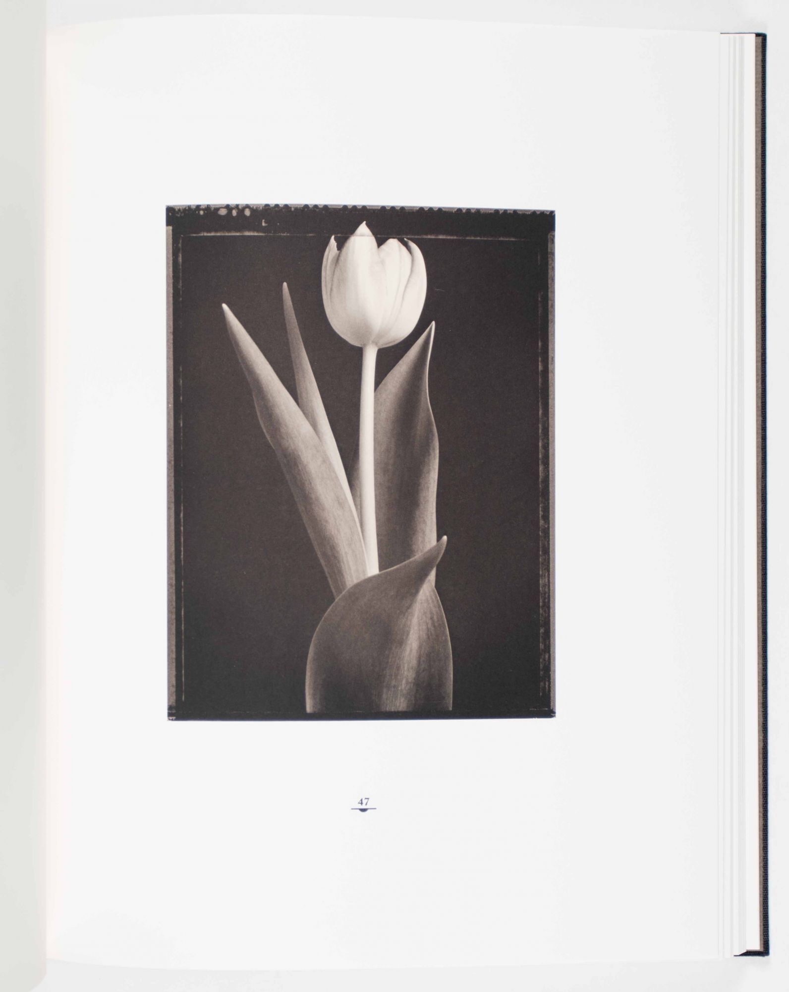 Tom Baril SIGNED WITH ORIGINAL SIGNED PHOTOGRAPH | Tom Baril