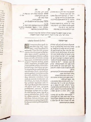 Ma‘arikh ha-ma‘arakhot (Survey of the Orders): Dictionarium absolutissimum