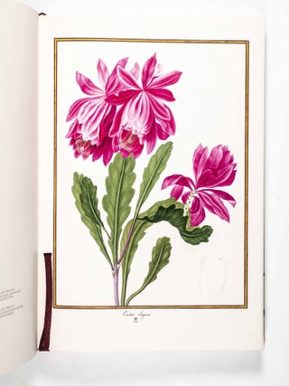 Florilegium Imperiale. Botanical Illustrations for Francis I of Austria