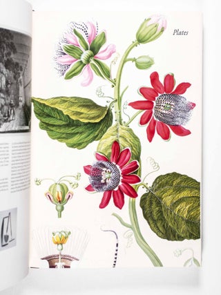 Florilegium Imperiale. Botanical Illustrations for Francis I of Austria