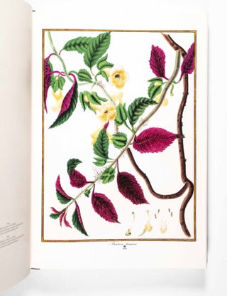 Florilegium Imperiale. Botanical Illustrations for Francis I of Austria