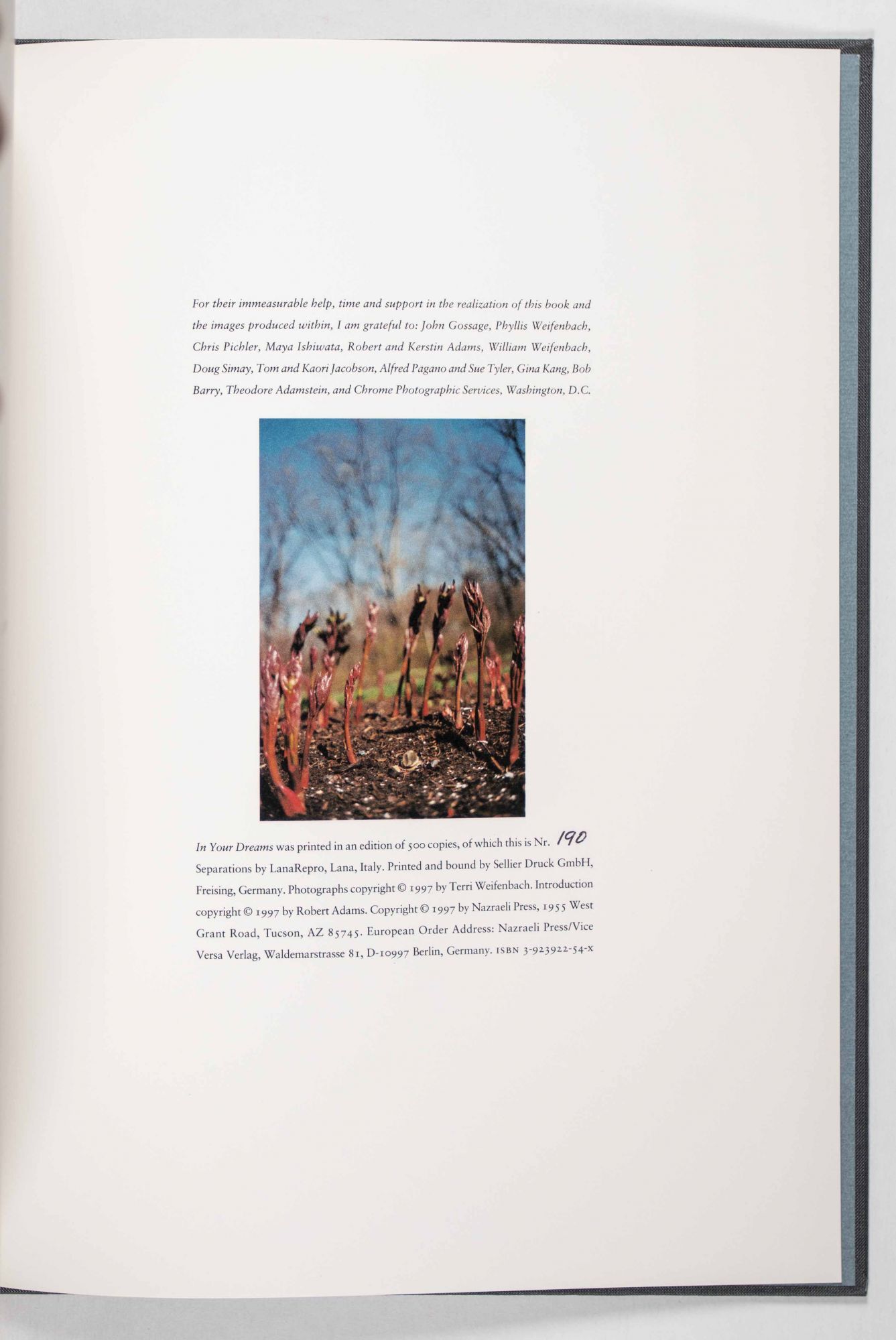 In Your Dreams | Terri Weifenbach | First edition