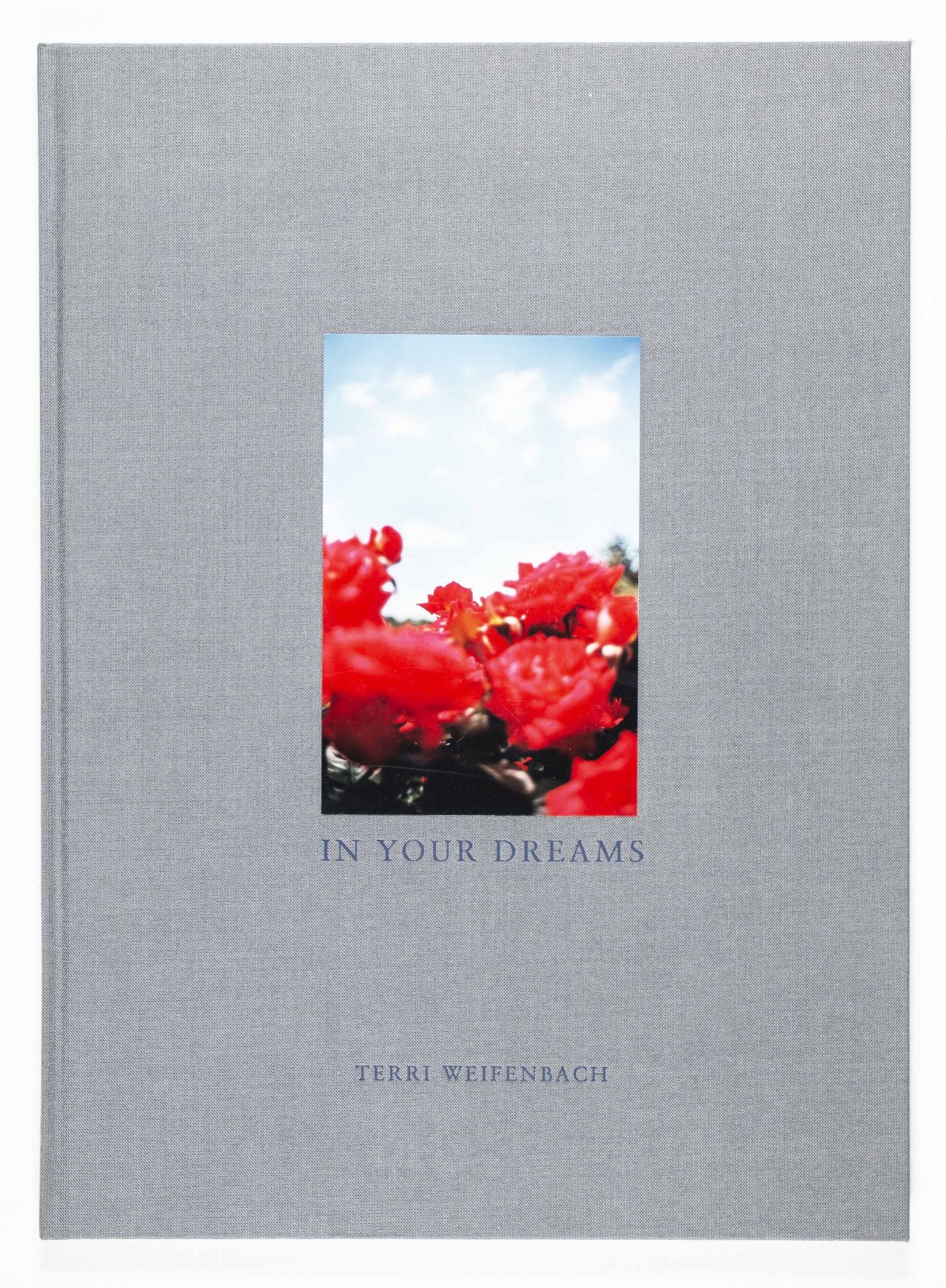 In Your Dreams by Terri Weifenbach on Eric Chaim Kline, Bookseller