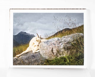 The Sheep and the Goats [SIGNED LIMITED EDITION WITH ORIGINAL PHOTOGRAPH]