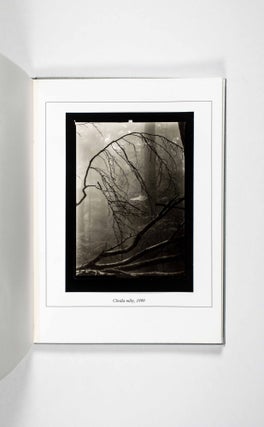 Item #49763 Chvály. Úvahy a fotografie (Praise. Consideration re Photography) [SIGNED]. Petr...
