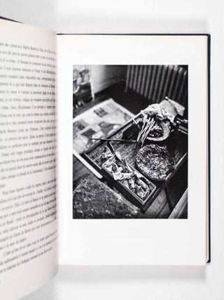 Bonnard: Catalogue Raisonné de l'oeuvre Peint. 1888-1905