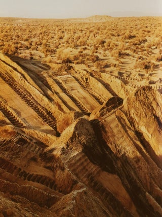 Item #49986 Violent Legacies: Three Cantos. Richard Misrach, Susan Sontag, Photographs by,...