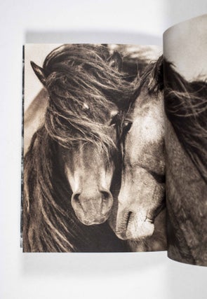 Item #50444 "The Wild Horses of Sable Island" [Book prospectus ]. Roberto Dutesco, photographer