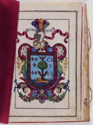 Patent of Nobility Belonging to Alonso Garcia, Inhabitant of Montejo de la Vega