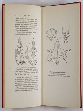 Early Man in China. With Illustrations and Maps