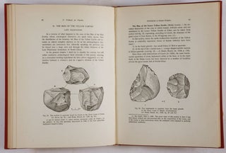 Early Man in China. With Illustrations and Maps