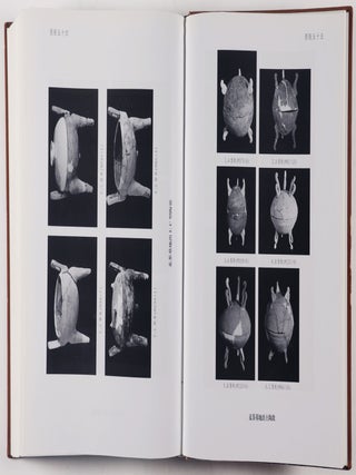Report on the Excavation of Liye