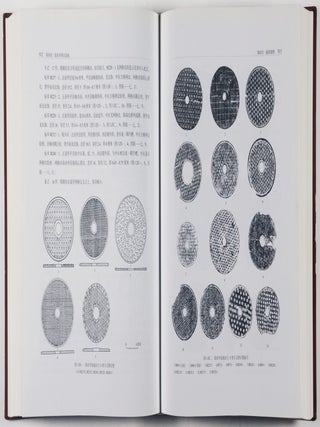 Report on the Excavation of Liye