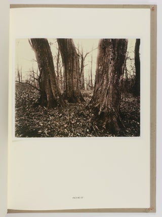 Eugène Atget's Trees: Newly Discovered Photographs from the Bibliotheq̀ue Nationale de France