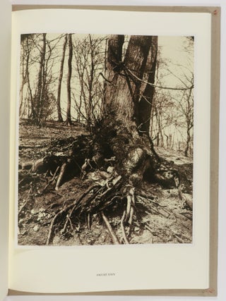 Eugène Atget's Trees: Newly Discovered Photographs from the Bibliotheq̀ue Nationale de France