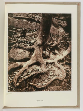 Eugène Atget's Trees: Newly Discovered Photographs from the Bibliotheq̀ue Nationale de France
