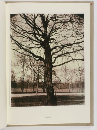 Eugène Atget's Trees: Newly Discovered Photographs from the Bibliotheq̀ue Nationale de France