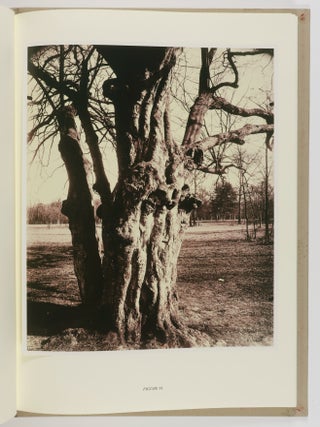 Eugène Atget's Trees: Newly Discovered Photographs from the Bibliotheq̀ue Nationale de France