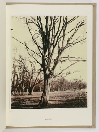 Eugène Atget's Trees: Newly Discovered Photographs from the Bibliotheq̀ue Nationale de France