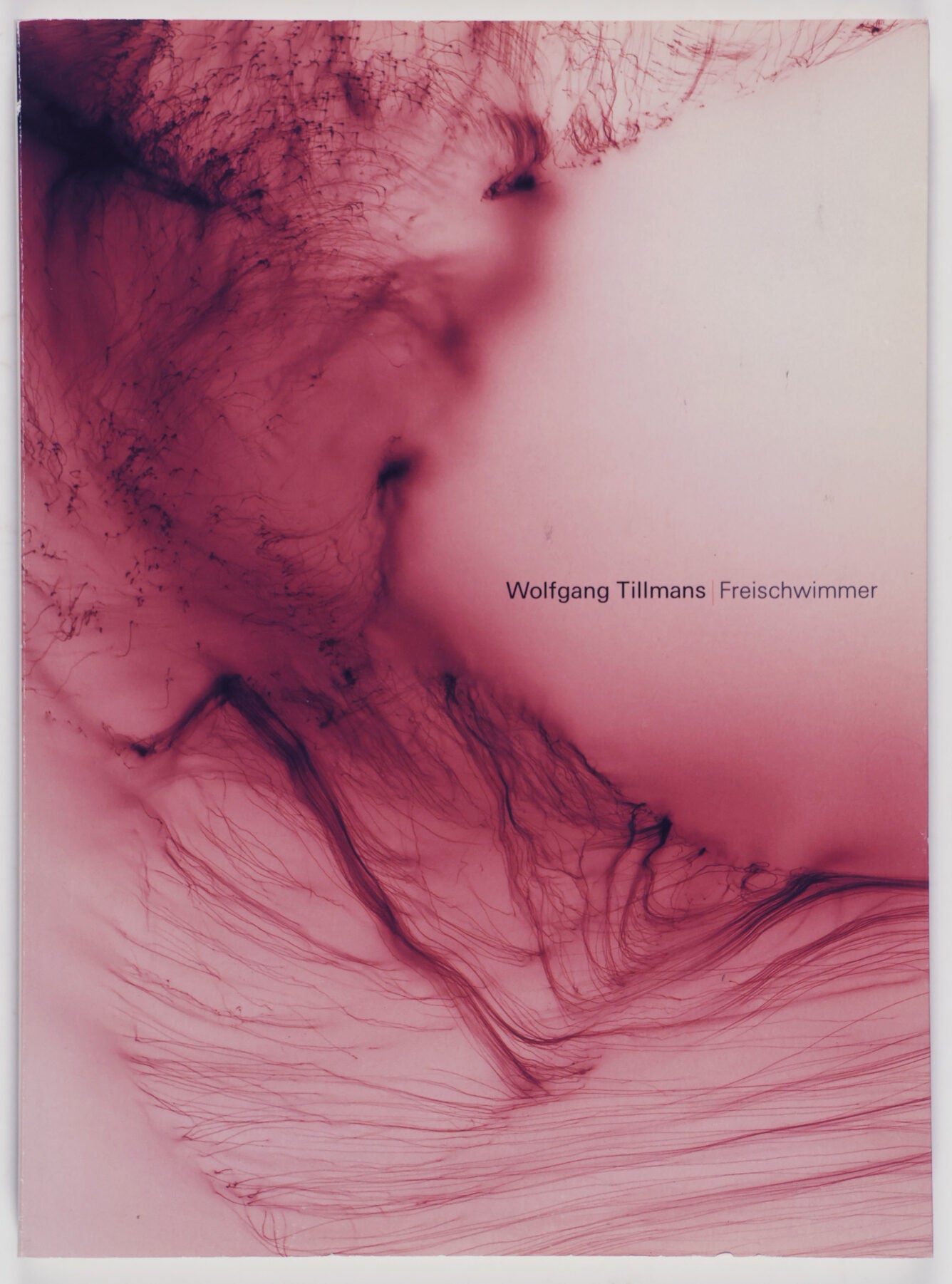 Freischwimmer | Wolfgang Tillmans, Iida Shihoko, Shimizu Minoru